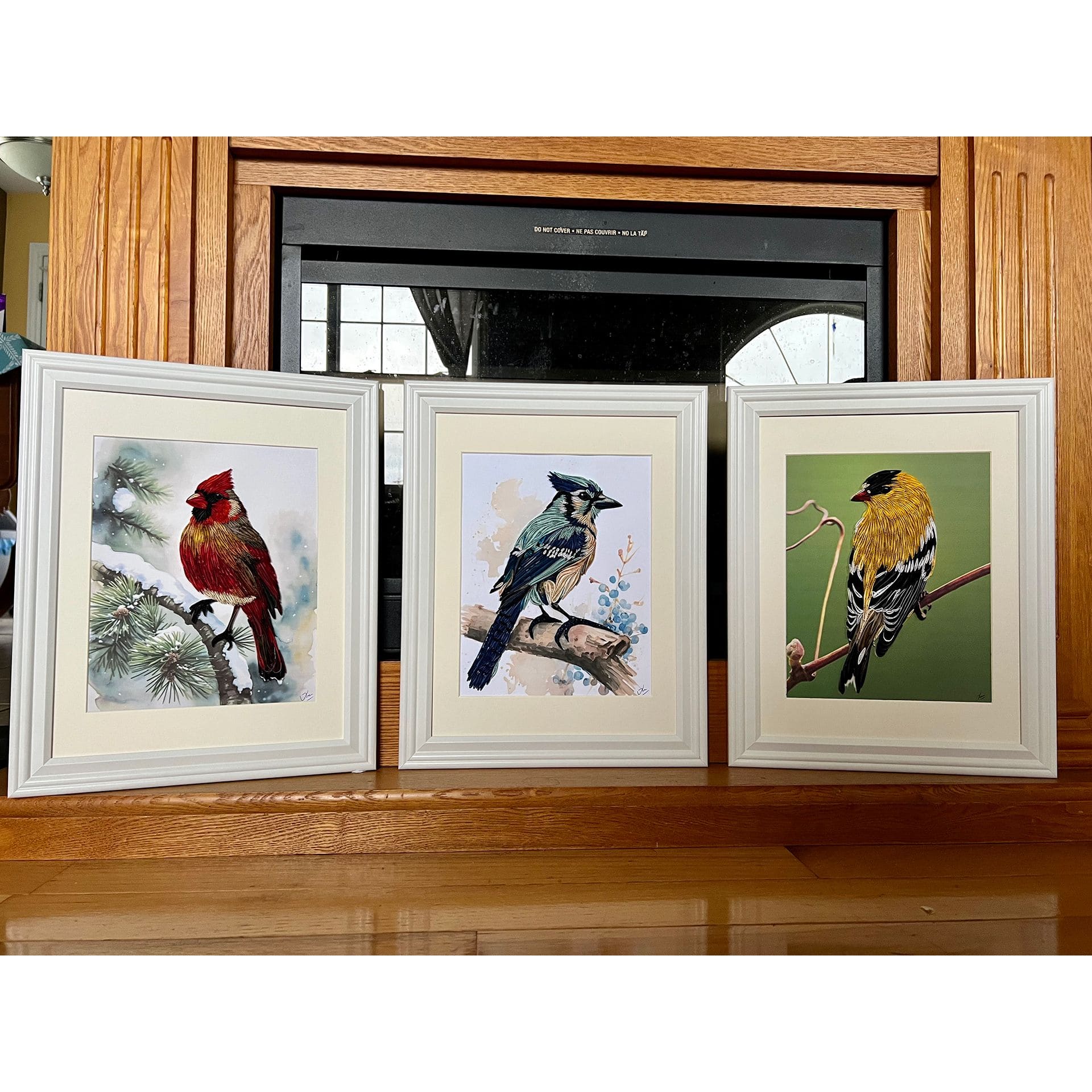 Birds Set_v1