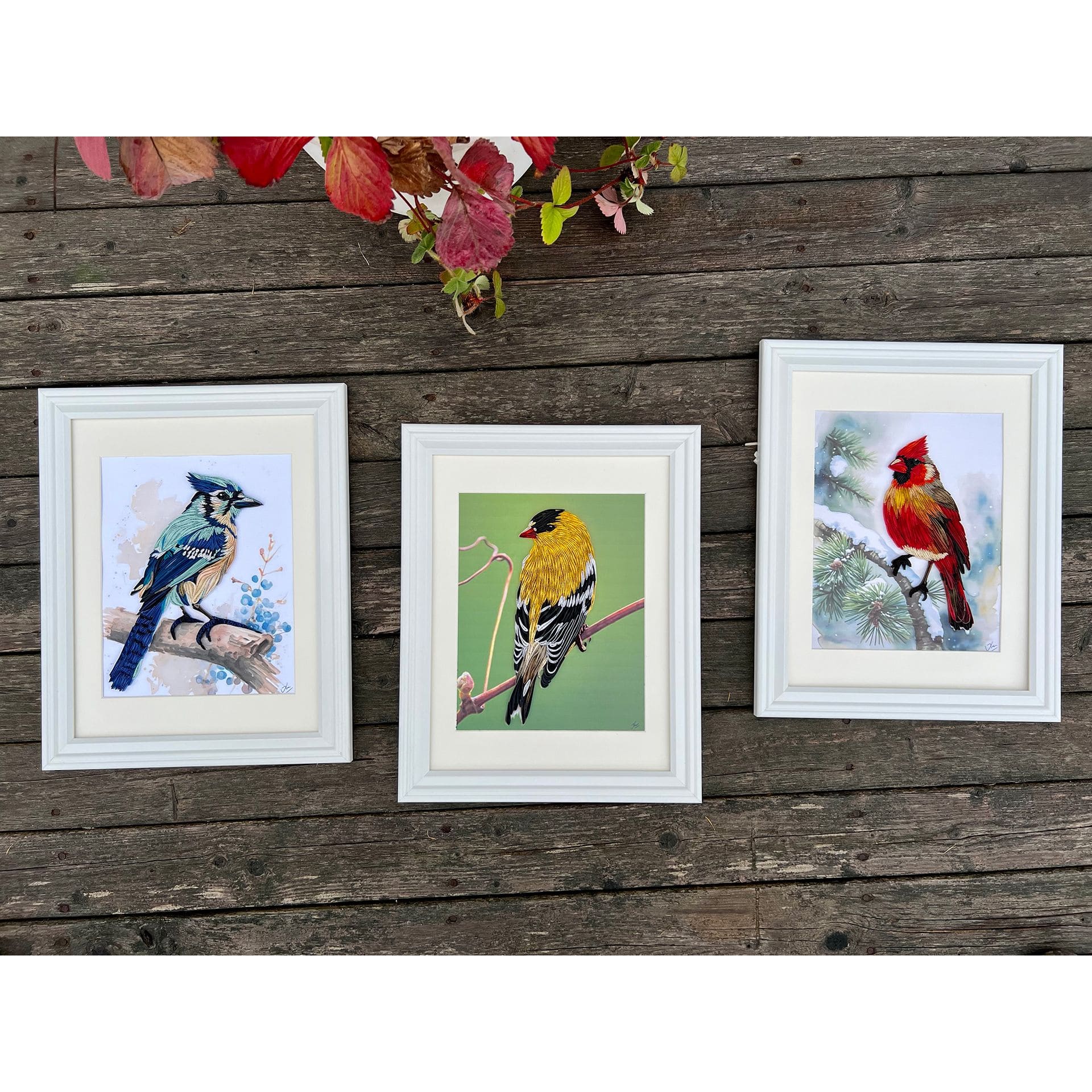 Birds Set_v2