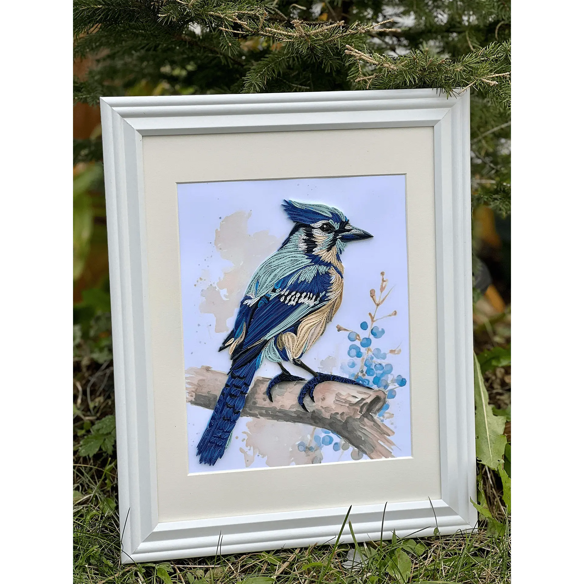 Blue Jay 8×10