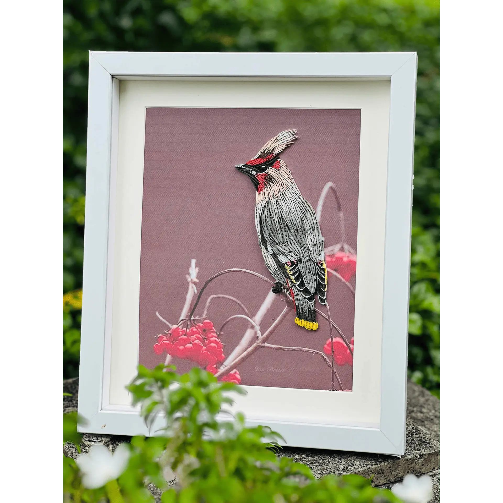 Bohemian Waxing Bird 8×10