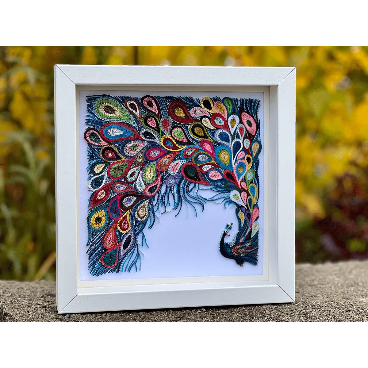 Peacock 8×8