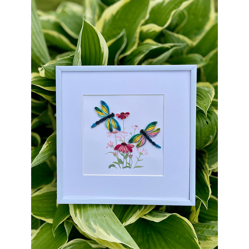 Dragonfly 5×5